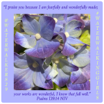 #thankfulthursday #fullyknownandloved #waterwalkinggirls