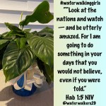 #mindsetmonday #lookandwatch #trustandsee