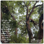 #transformationtipstuesday #listen #waterwalkinggirls