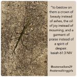 #thankfulthursday #praise #waterwalkinggirls