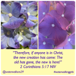 #spiritualsunday #new #waterwalkinggirls