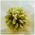 #spiritualsunday #lookclosely #waterwalkinggirls