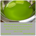 #waterwalkingwednesday #miracles #waterwalkinggirls