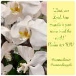 #transformationtipstuesday #majestic #waterwalkinggirls