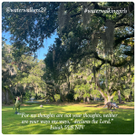 #finishfriday #unexpected #waterwalkinggirls