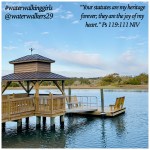 #waterwalkingwednesday #abide #findjoyinthejourney