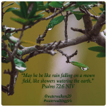 #finishfriday #rain #waterwalkinggirls