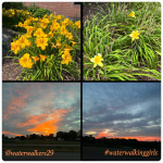 #seeyousaturday #allthingsnew #waterwalkinggirls