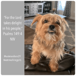 #thankfulthursday #delight #waterwalkinggirls