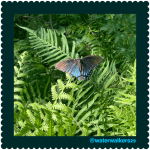 #seeyousaturday #doingsomethingnew