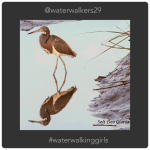 #mindsetmonday #letthemseeyou #waterwalkinggirls