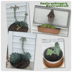 #seeyousaturday #pursuepeace #waterwalkinggirls