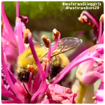 #thankfulthursday #trust #kingofkings&nbsp;#lordoflords