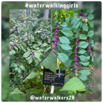 #thankfulthursday #godsbeauty #aneweveryday