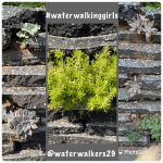 #mindfulmonday #youhavemyattention #letmylifebeworship #waterwalkinggirls