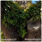 #spiritualsunday #resurrection #waterwalkinggirls