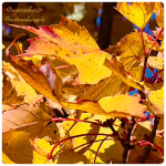 #spiritualsunday #godofallmydays #waterwalkinggirls