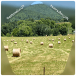 #mindsetmonday #workforthelord #waterwalkinggirls