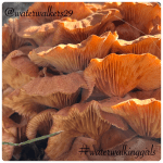 #wowwednesday #creation #waterwalkinggirls