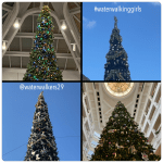 #wowwednesday #everlastinglife #waterwalkinggirls