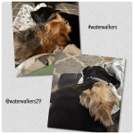 #freedomfriday #beheld #waterwalkers