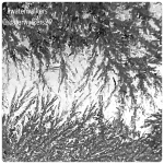 #transformationtuesday #intrigued #waterwalkers