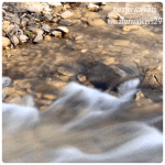 #mindsetmonday #pureheart #waterwalkers