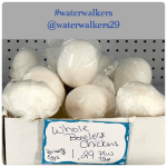 #transformationtipstuesday #shrovetuesday #waterwalkers