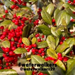 #tastetuesday #taste #waterwalkers