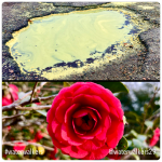 #spring #rethinkchurch #lent2023&nbsp;#waterwalkers