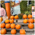 #sows #rethinkchurch #lent2023&nbsp;#waterwalkers