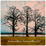 #monday #followthrough #waterwalkers