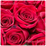 #spiritualsunday #respondlikechrist #waterwalkers