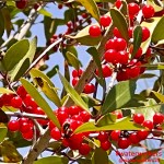 #mindsetmonday #prayer #praise&nbsp;#waterwalkers