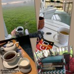 #findrestfriday #waterwalkers