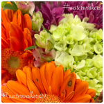 #tuesday #scentofgod #waterwalkers