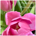 #wednesday #godismydefender #waterwalkers