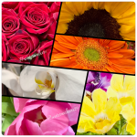 #seeyousaturday #roots #waterwalkers