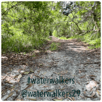 #mondaymorningmindset #cometojesus #waterwalkers