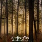 #sunday #lavished #waterwalkers