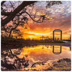 #thinkbacktuesday #remember #waterwalkers