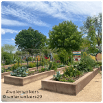 #farmerfriday #vbsvolunteers #waterwalkers