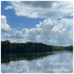 #seeyousaturday #beawitness #waterwalkers