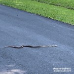 #perspectivetransformation #waterwalkers