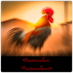 #taketimetuesday #seekhimfirst #waterwalkers