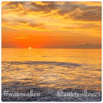 #foodfriday #blessyourbody #waterwalkers