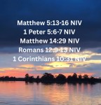 ‭‭#meditatemonday #staysalty #waterwalkers29