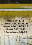 #meditatemonday #daniel #waterwalkers29