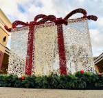 #savorsaturday #givechristmasaway #waterwalkers29