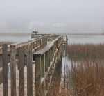 #thankfulthursday #david #waterwalkers29